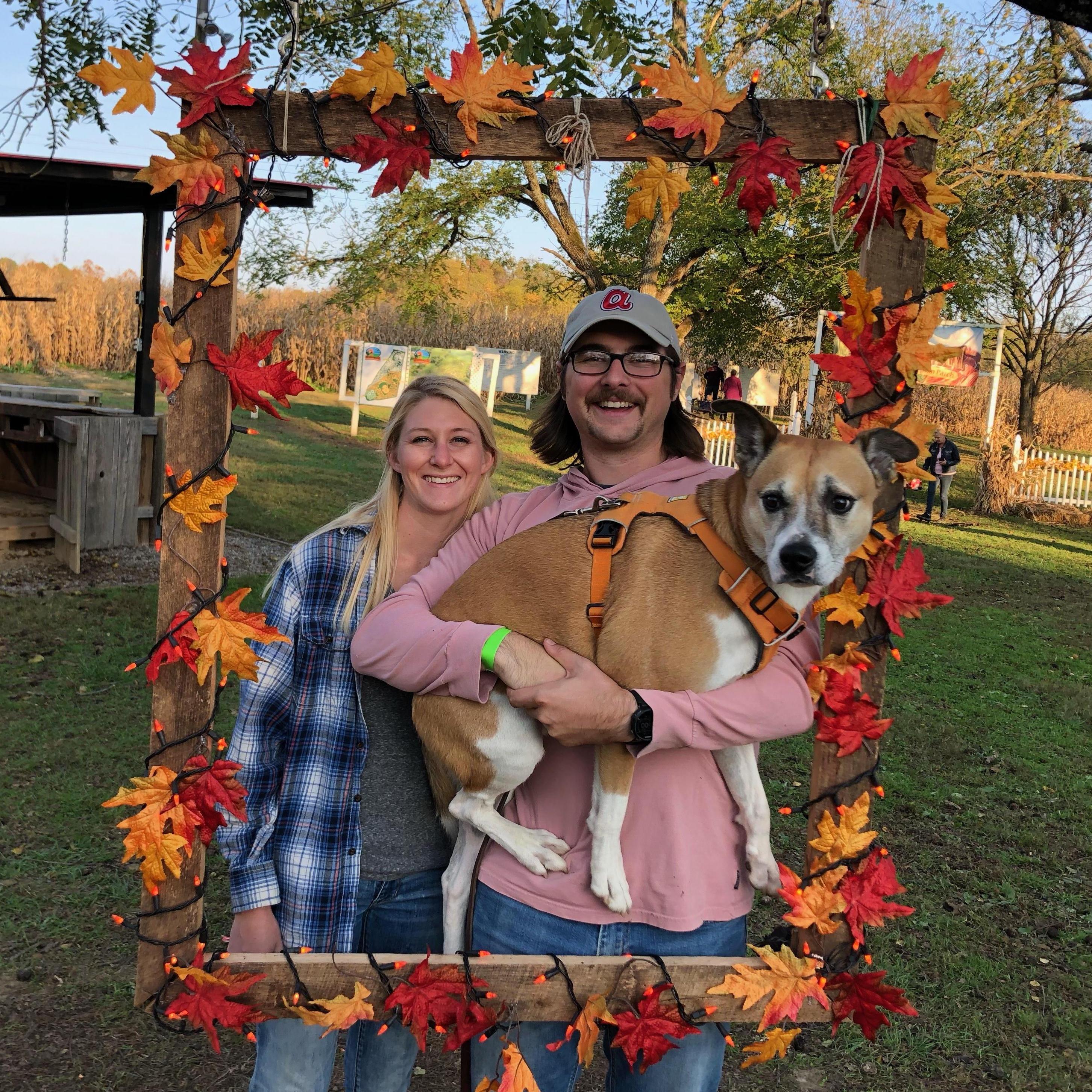 Corn Mazes, the every year fall tradition