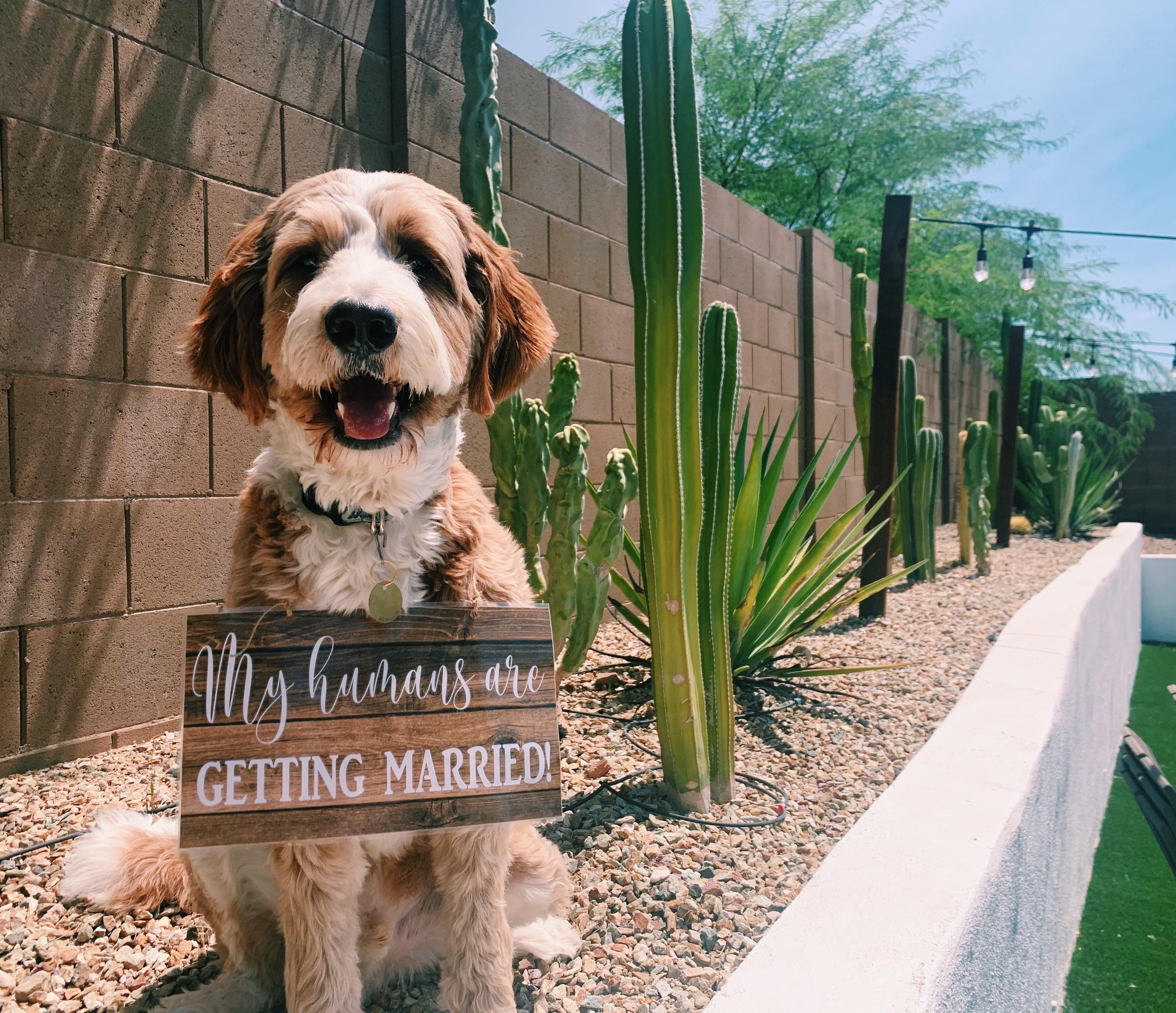 The Wedding Website of Megan Wolf and Benjamin McClurg
