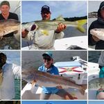 Titusville Inshore Fishing Charter