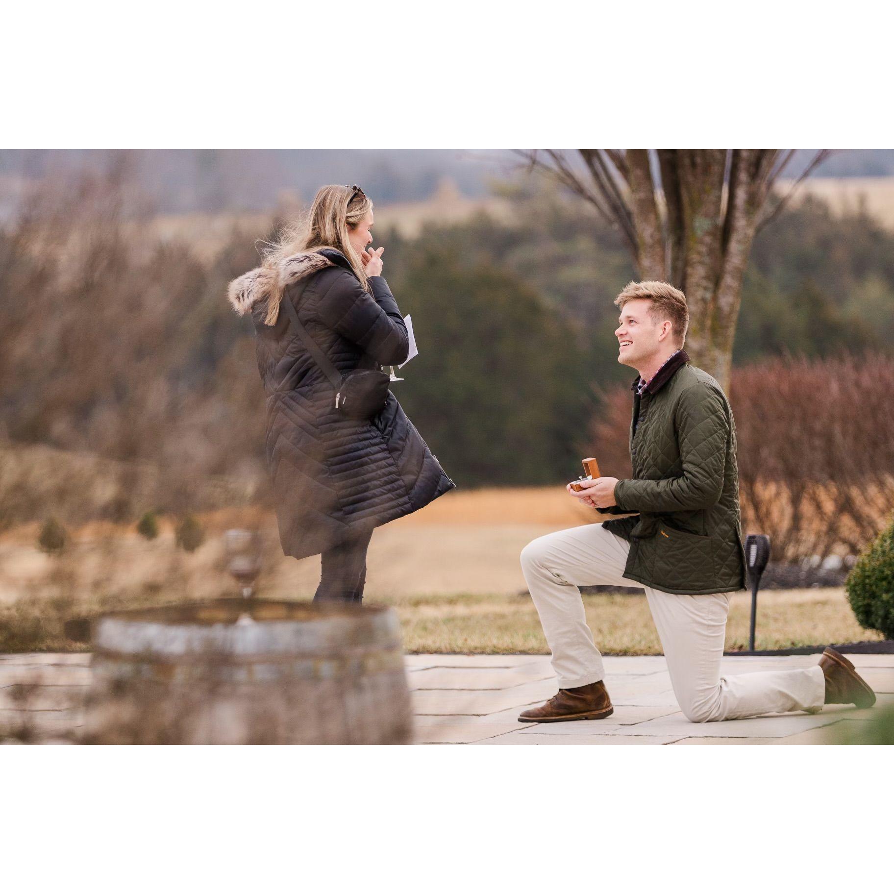 Proposal at CrossKeys Vineyard