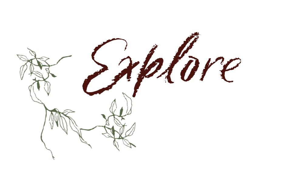 The Wedding Website of Solanch Tamayo and Adam Grewe
