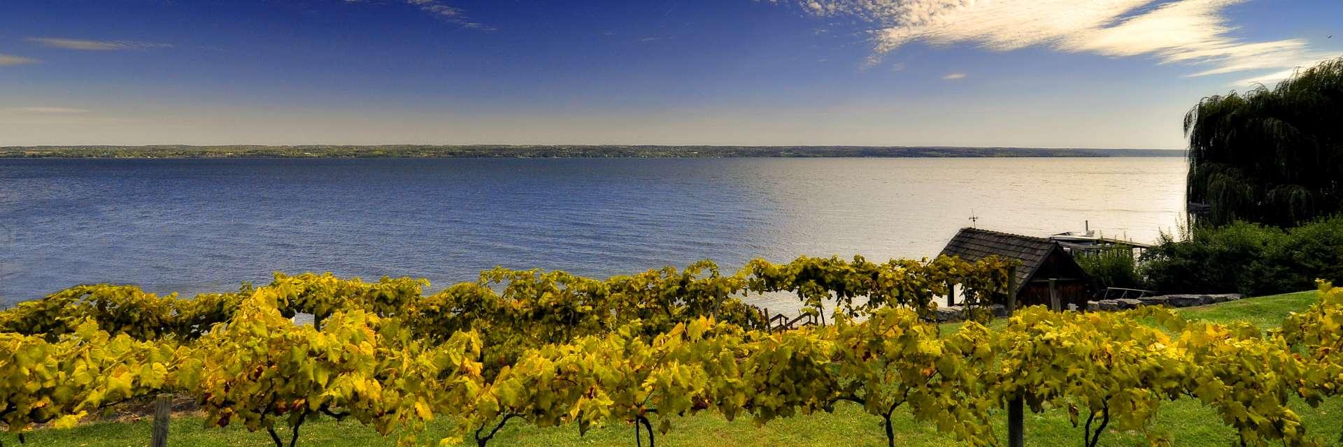 The Wedding Website of Davis Clifford and Nicole Beck