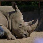Seneca Park Zoo