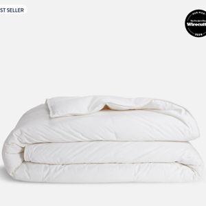 Down Comforter/Duvet Insert