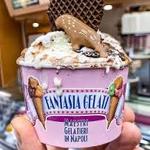Fantasia Gelati