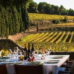 29TH WINE TOUR IN PENEDES