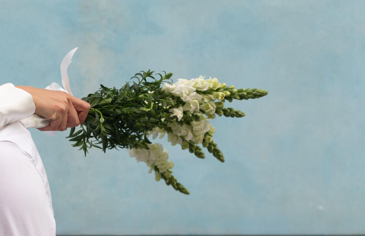 The Wedding Website of Aviva Banayan and Shimon Ferdinaro