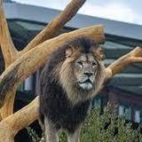 Lincoln Park Zoo