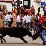 Tourada à Corda (Bull on a Rope)