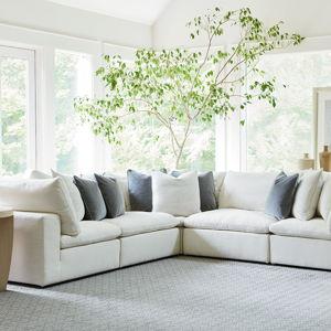New Couch Fund