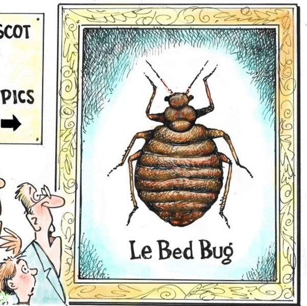 Bed Bug Replacement Fund