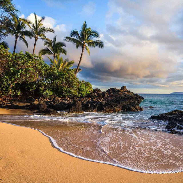 Our Honeymoon to Hawaii Fund