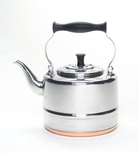 BonJour Tea Stainless Steel and Copper-Base Gooseneck Teapot / Teakettle, 2-Quart