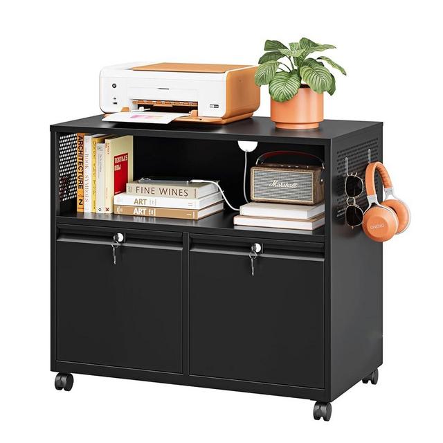 LISSIMO Metal File Cabinet,2 Drawer Filing Cabinet with Lock,Rolling Printer Stand Storage Cabinets with Shelves for Home Office Letter/Legal/A4 Size Files(Black)