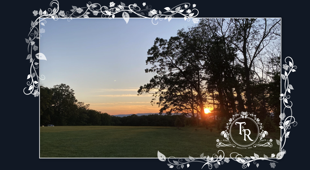 The Wedding Website of Thomas McHale and Rae Montana