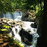 Christine Falls