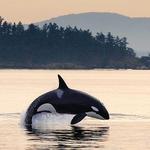 San Juan Islands