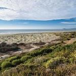 Clam Beach