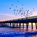 The Jacksonville Beach Pier