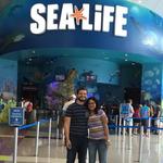 SEA LIFE Orlando Aquarium