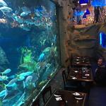 Downtown Aquarium