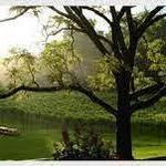 Paradise Springs Winery