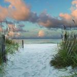 Henderson Beach State Park