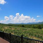 North Georgia Wineries - Kaya Vineyard & Winery