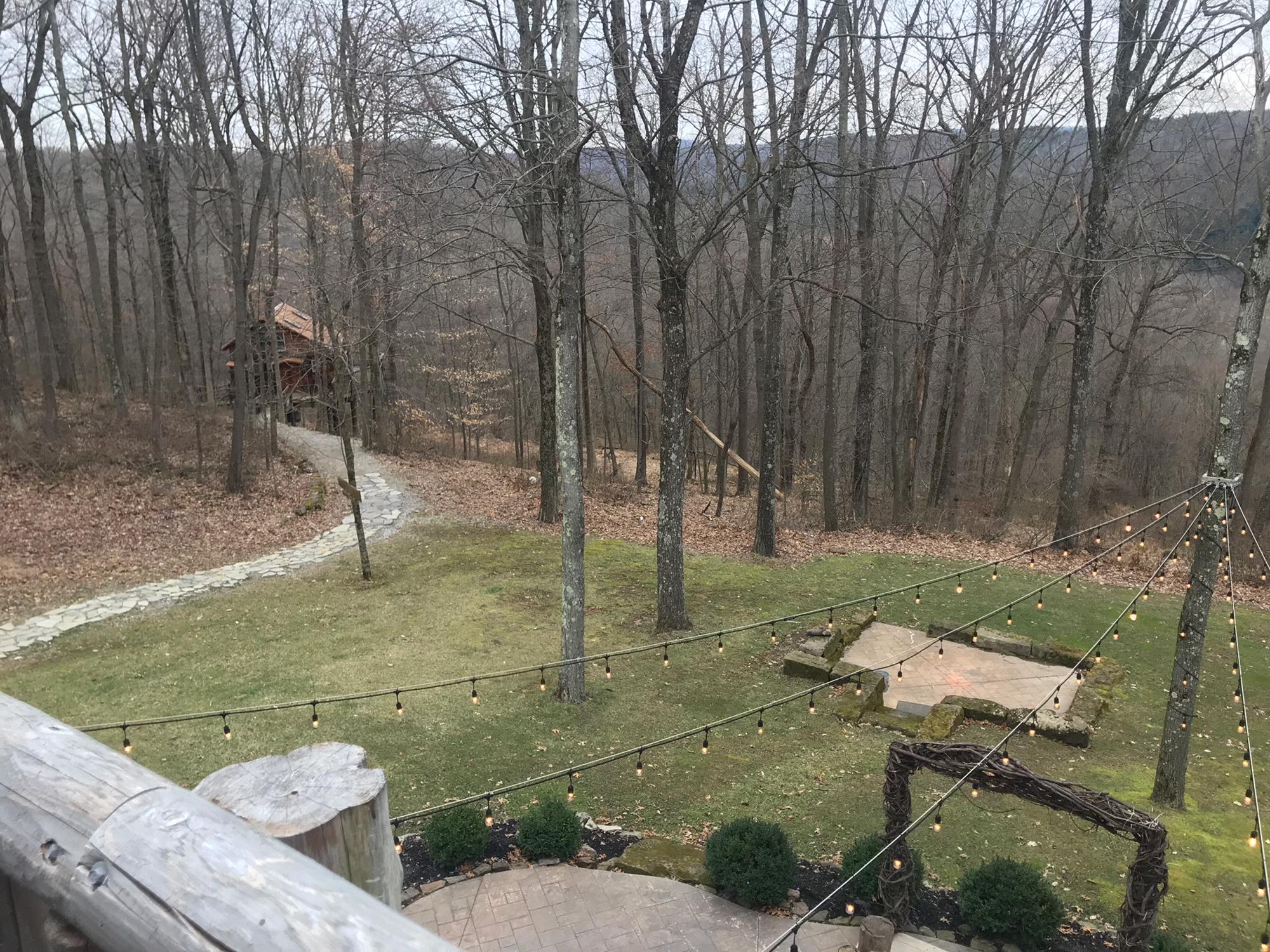 View from the venue. In the trees you can see a treehouse. Also the fire pit is under the tarps.