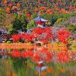 大覚寺(Daikaku-ji Temple)