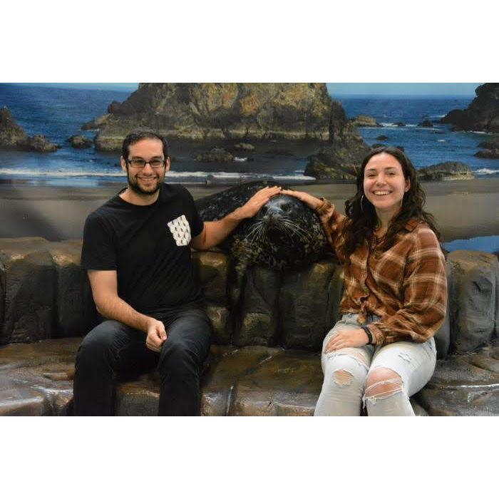 Meeting the seals at the Georgia Aquarium