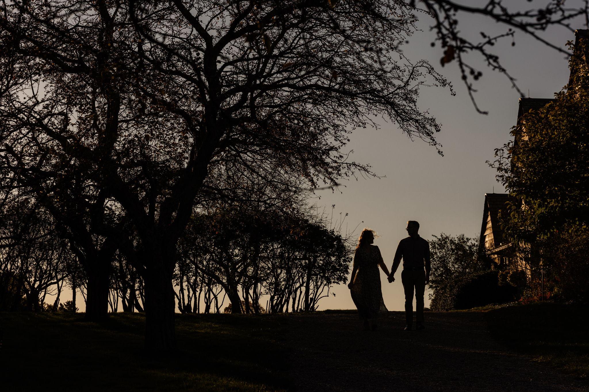 2b51cc69-9f0a-489f-951b-72b565d3d13b