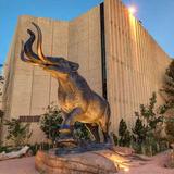 Denver Museum of Nature & Science