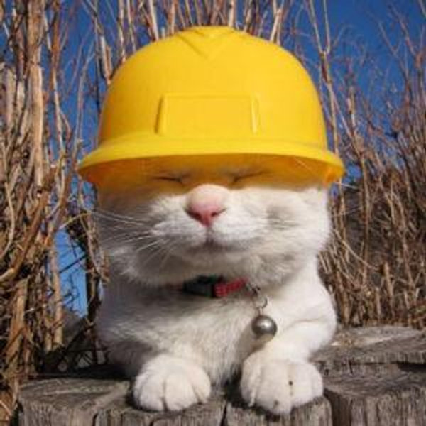 House Project Fund