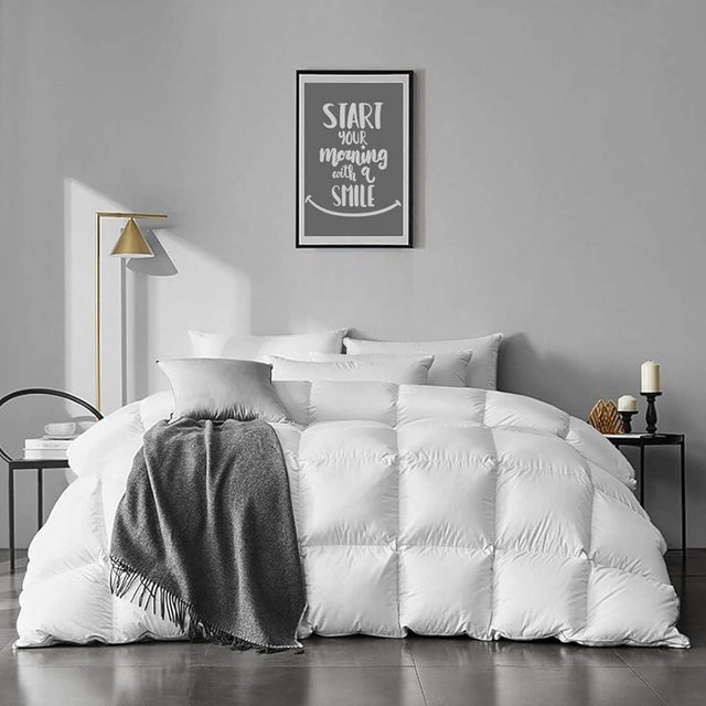 APSMILE Twin Size Goose Feather Down Comforter - Ultra Soft All Seasons 100% Organic Cotton Feather Down Duvet Insert Medium Warm Quilted Bed Comforter with Corner Tabs (68x90,Ivory White)