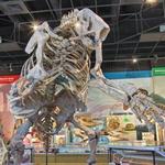 Museum of Natural Science