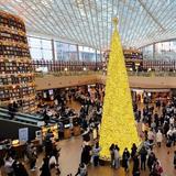 Starfield Coex Mall