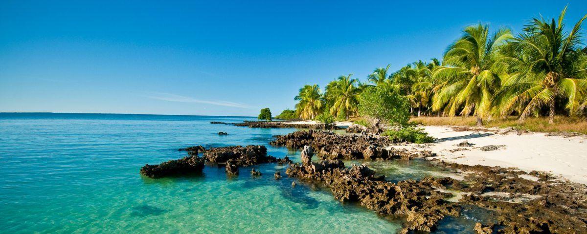 The Wedding Website of Kelda Brett Lee and Sidique Naimo Sale Yoloca