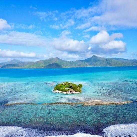 Contribute To Our Honeymoon!