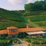 Banner Elk Winery & Villa