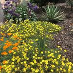 Meditation Gardens