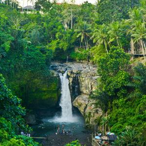 Bali Honeymoon Fund