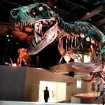 Houston Museum of Natural Science
