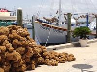 Tarpon Springs Sponge Docks