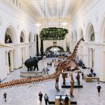 Field Museum