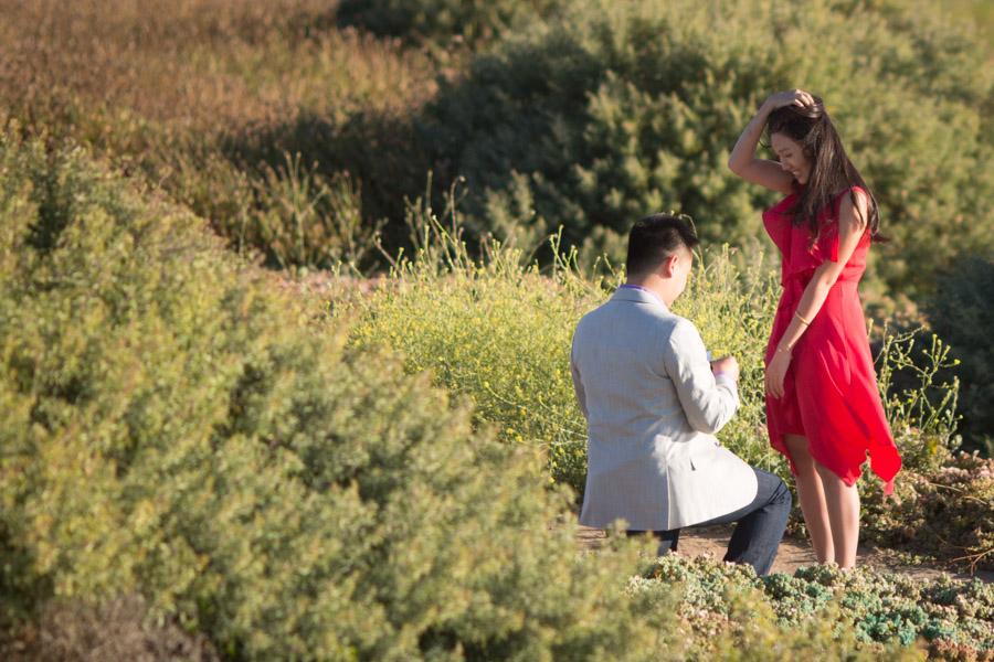 The Wedding Website of Andrew Sun and Serena Yu