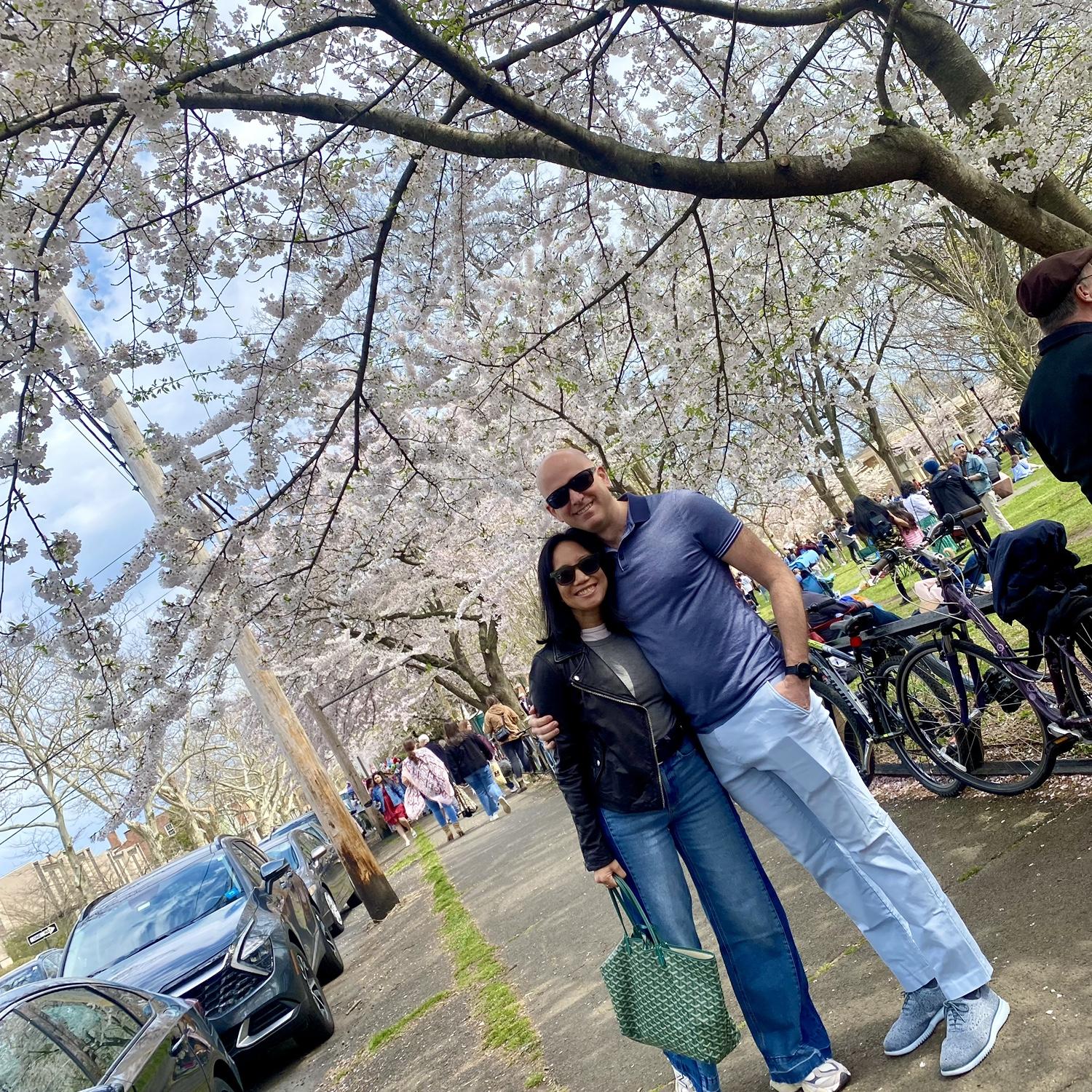 Cherry Blossom Festival of New Haven, CT.