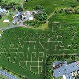 Lentini Farms
