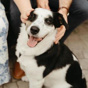Maggie Fund