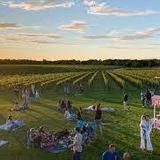 Wölffer Estate Vineyard